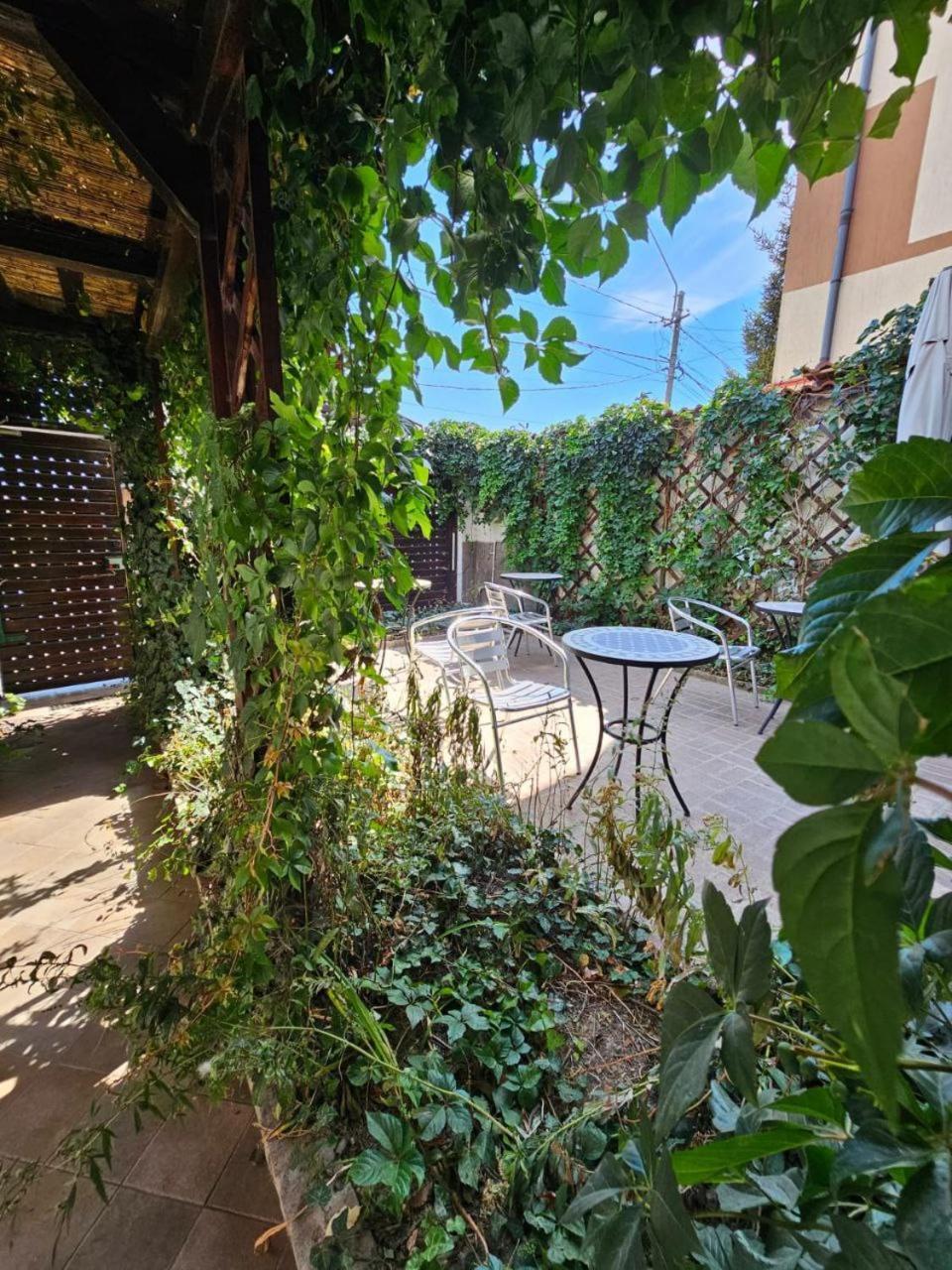 Vila Flavia B&B Constanta Exterior photo